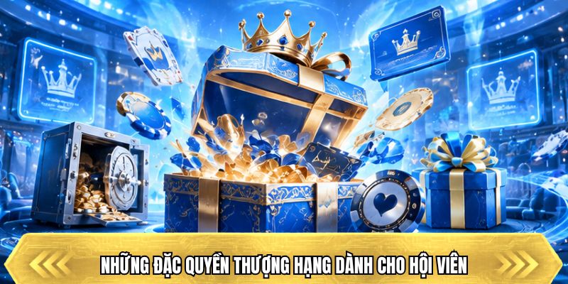 Những đặc quyền thượng hạng dành cho hội viên